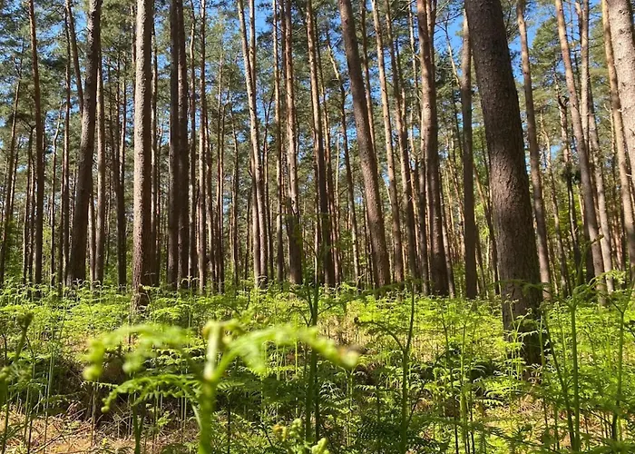In Mit Sauna Σπίτι διακοπών *
